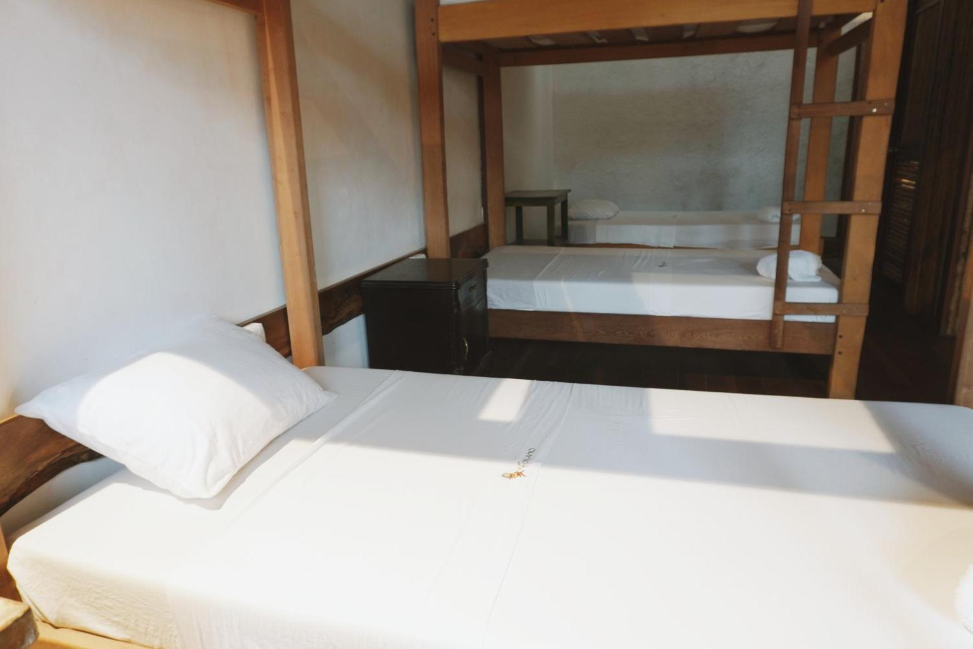 La Fauna Hotel بويرتو مالدونادو المظهر الخارجي الصورة